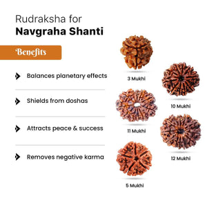 Rudraksha for Navgraha Shanti