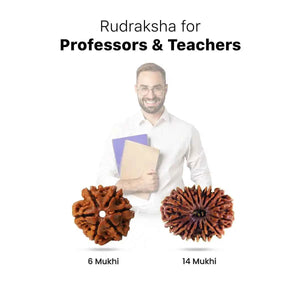 Rudraksha for Professors & Teachers
