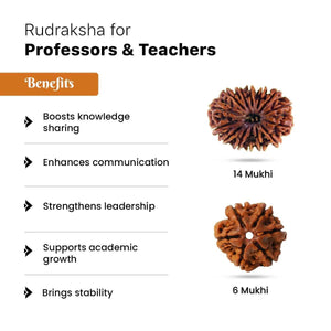 Rudraksha for Professors & Teachers