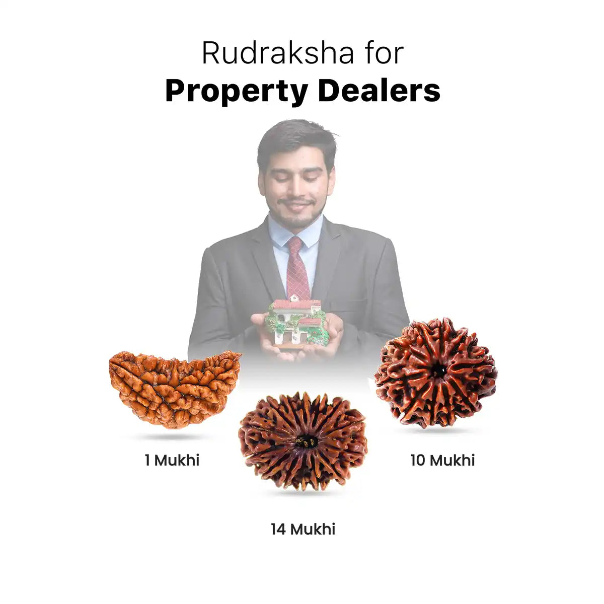 Rudraksha for Property Dealers