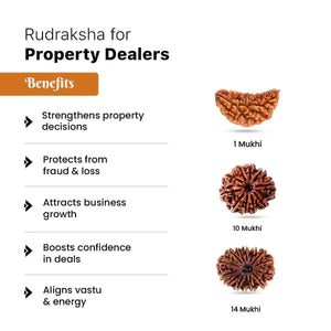 Rudraksha for Property Dealers