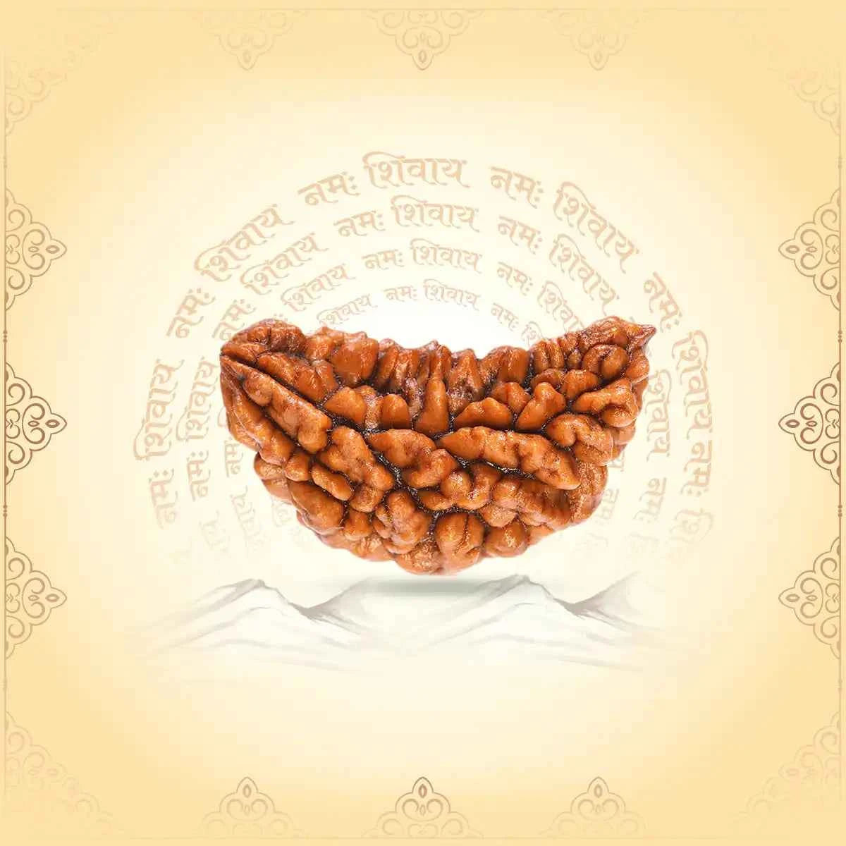 1 Mukhi Rudraksha – The Rarest Seed of Pure Consciousness