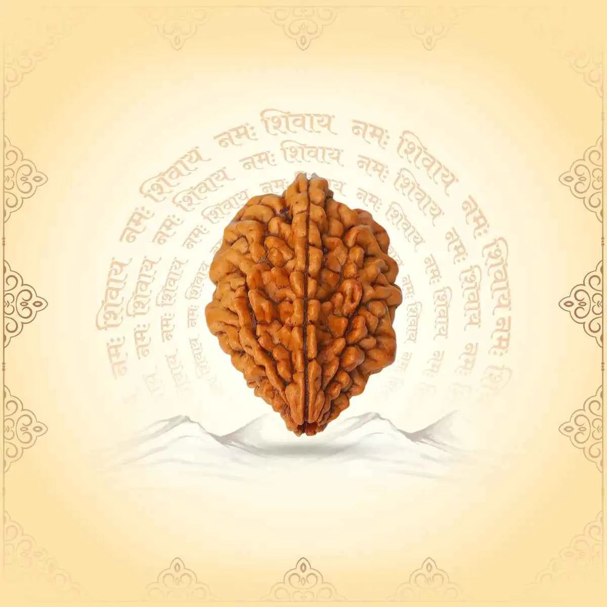 2 Mukhi Rudraksha – Symbol of Harmony & Relationship Balance