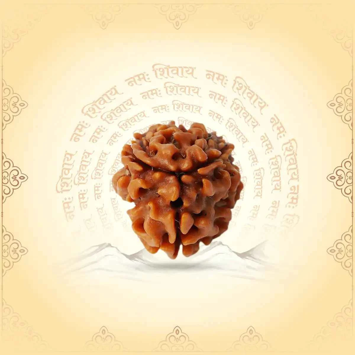 3 Mukhi Rudraksha – Flame of Self-Confidence & Freedom