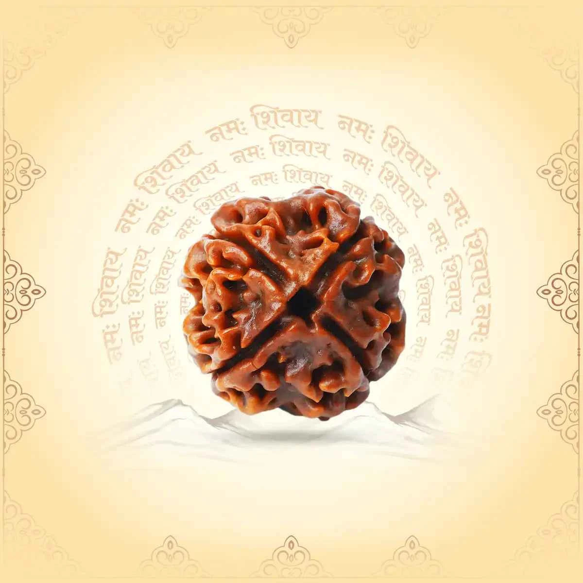 4 Mukhi Rudraksha (Nepal Origin) – Bead of Knowledge, Speech & Expression