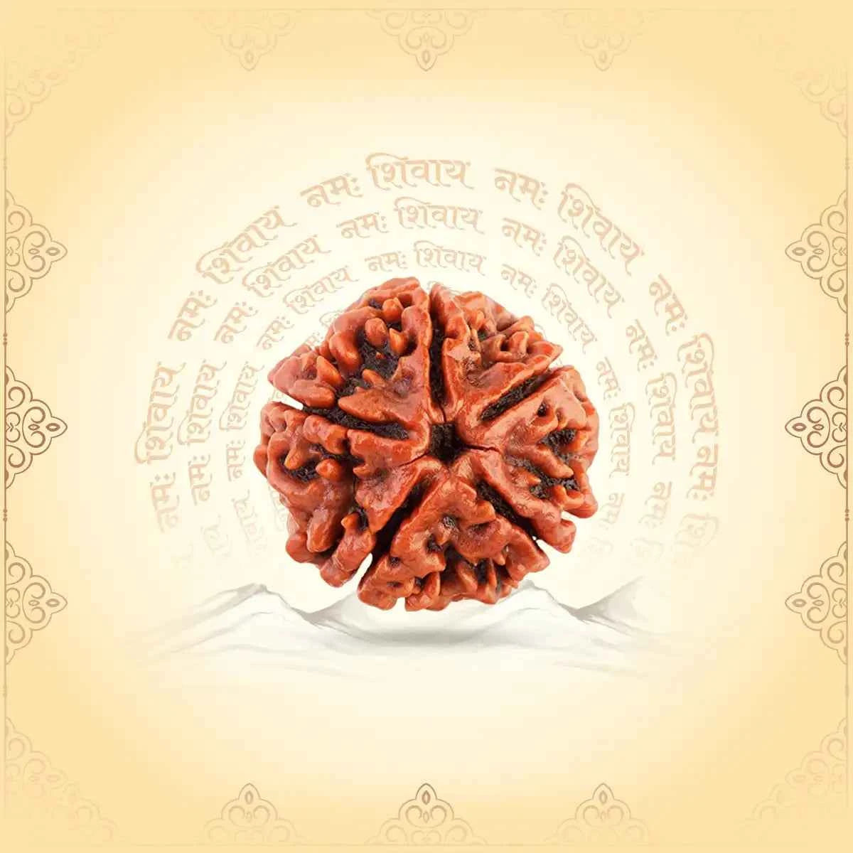 5 Mukhi Rudraksha – The Sacred Bead of Peace, Power & Wisdom