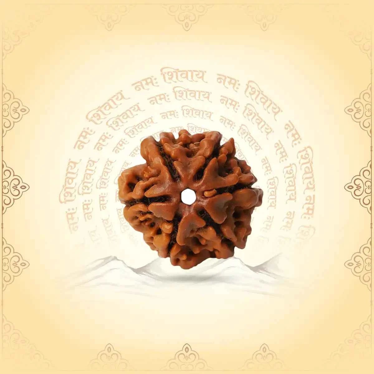 6 Mukhi Rudraksha (Nepal Origin) – Bead of Willpower & Attraction