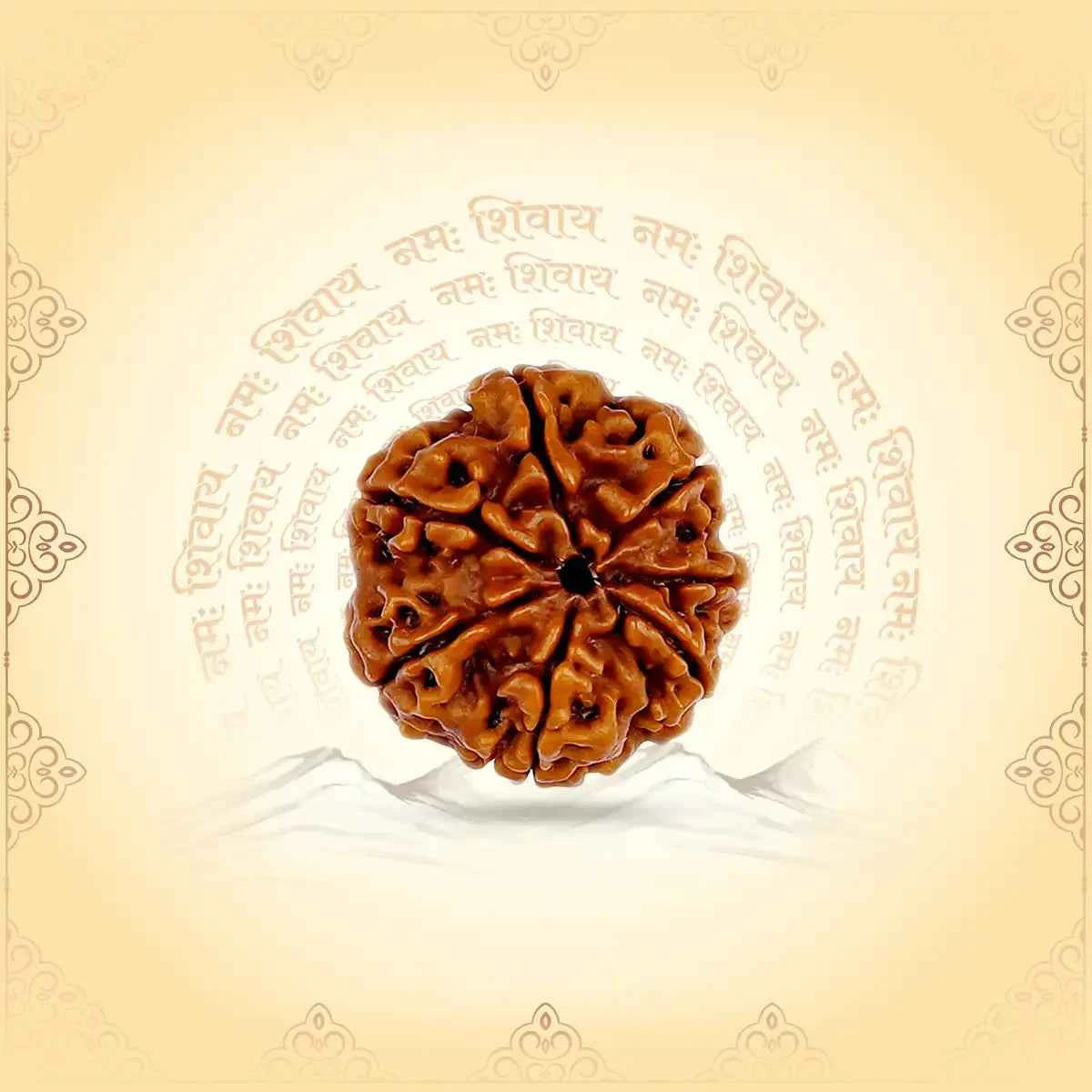 7 Mukhi Rudraksha (Nepal Origin) – Gateway to Wealth, Career & Saturn Remedies
