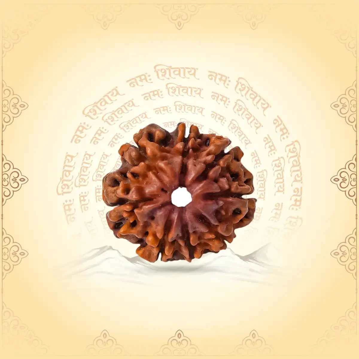 8 Mukhi Rudraksha (Nepal Origin) – Obstacle Remover & Mind Cleanser