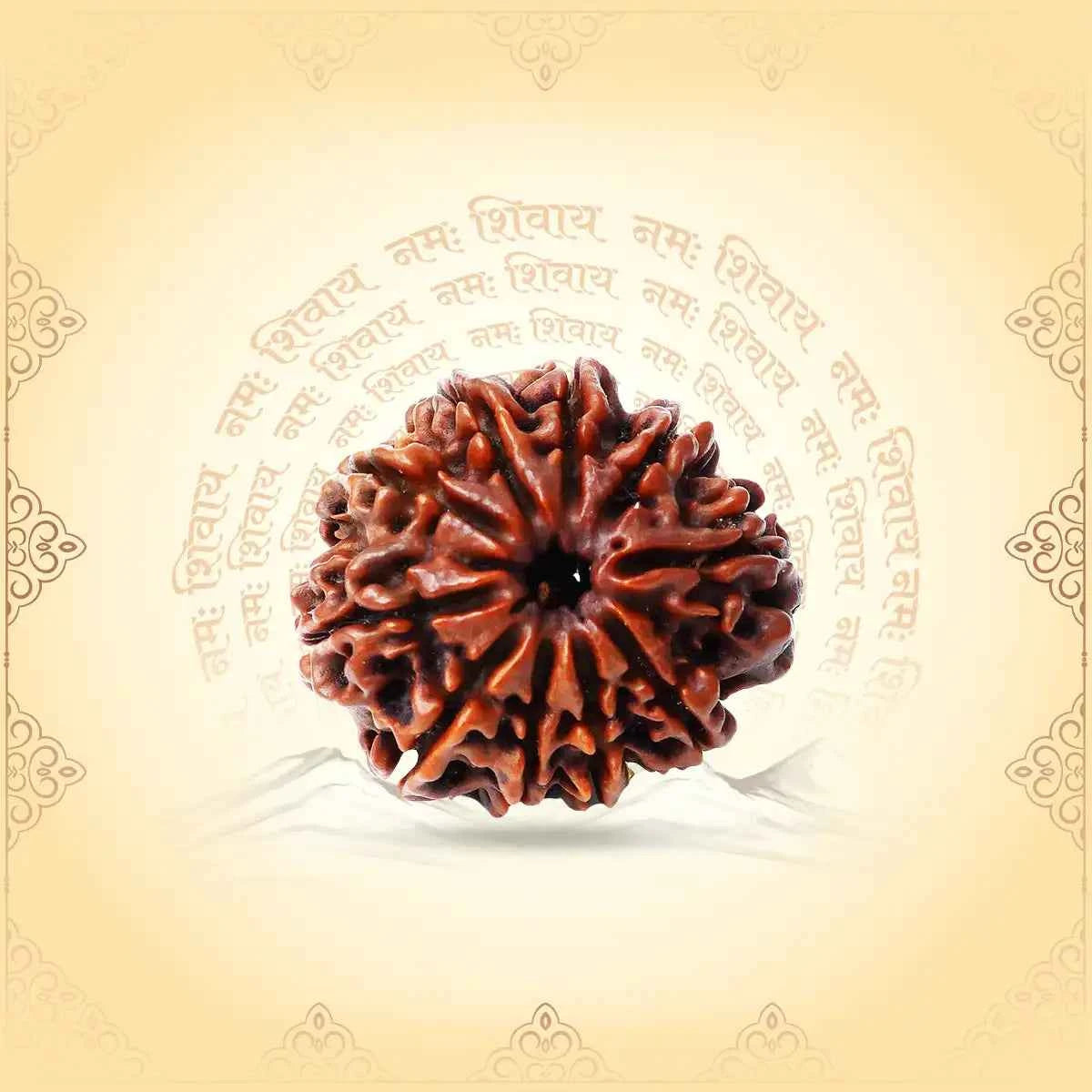 10 Mukhi Rudraksha (Nepal Origin) – Bead of Protection from Hidden Enemies