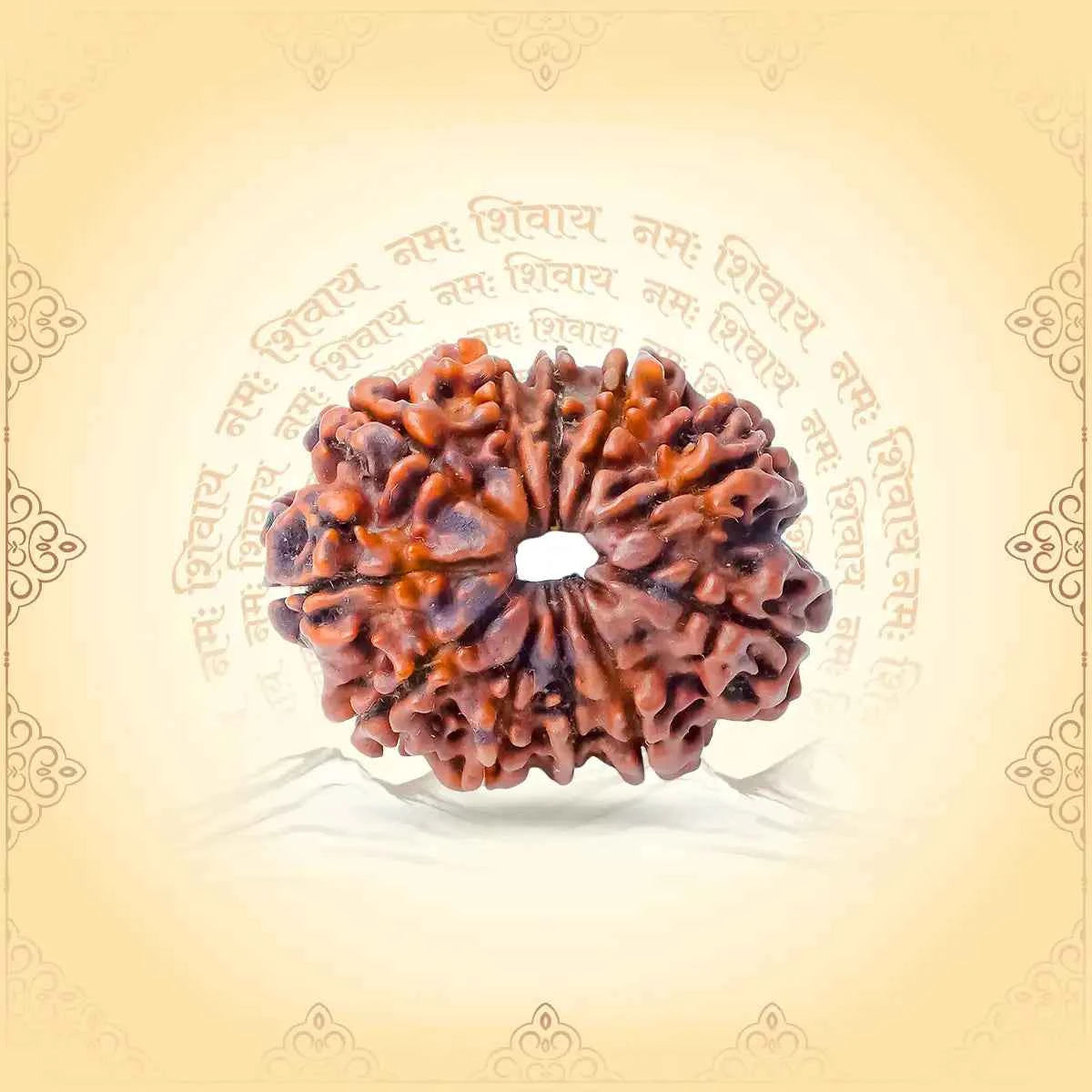 11 Mukhi Rudraksha – Rudra Form for Courage, Clarity & Yogic Power