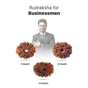 Rudraksha for Businessmen (Marketing & Finance)