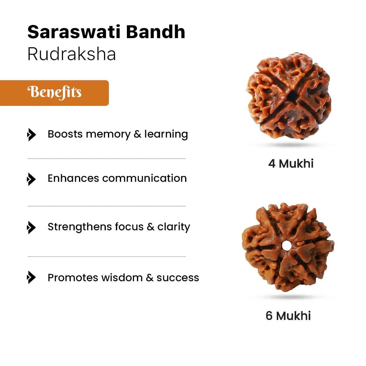 Saraswati Bandh Rudraksha