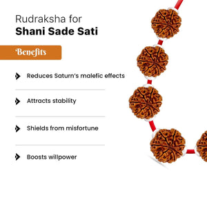 Rudraksha for Shani Sade Sati
