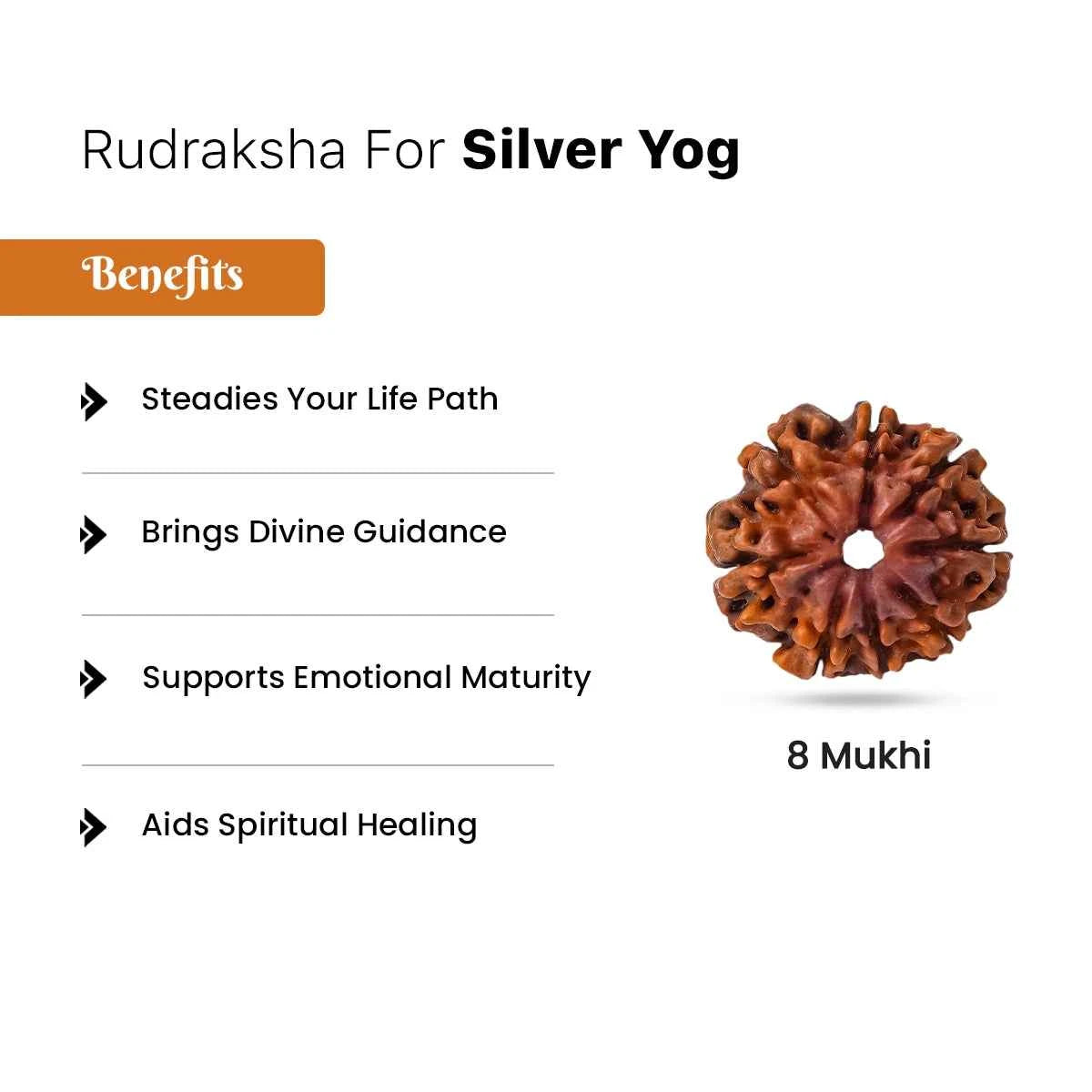 Rudraksha for Silver Plane