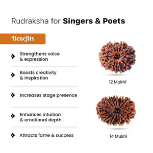 Rudraksha for Singers & Poets