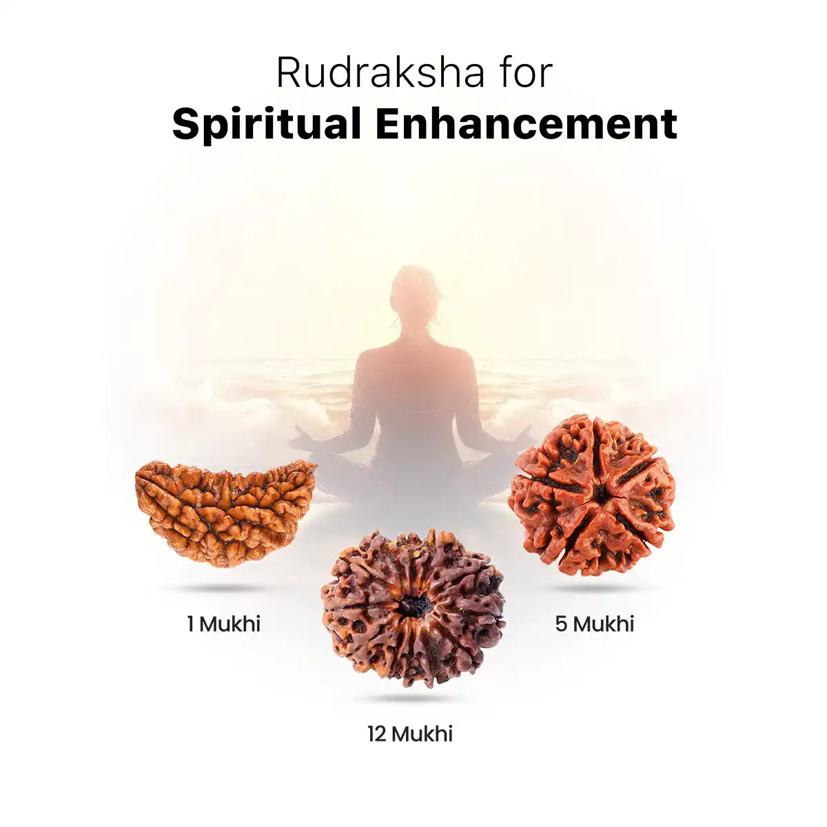 Rudraksha for Spiritual Enhancement
