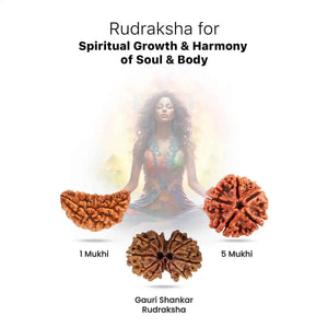Rudraksha for Spiritual Growth & Harmony of Soul & Body