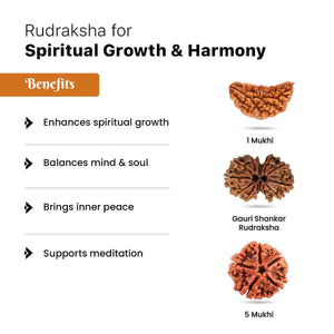 Rudraksha for Spiritual Growth & Harmony of Soul & Body