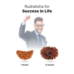 Rudraksha for Success in Life