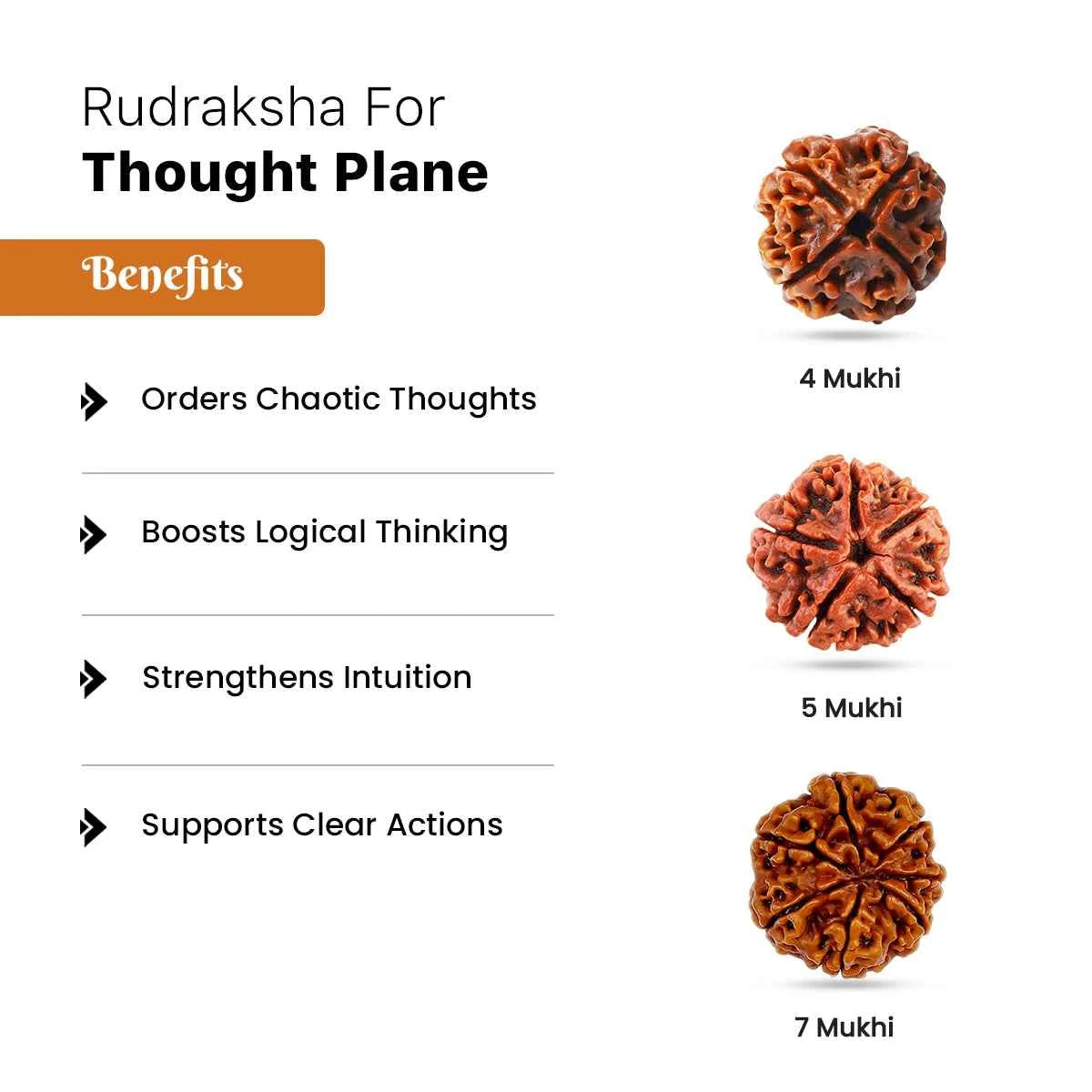 Rudraksha for Thought Plane