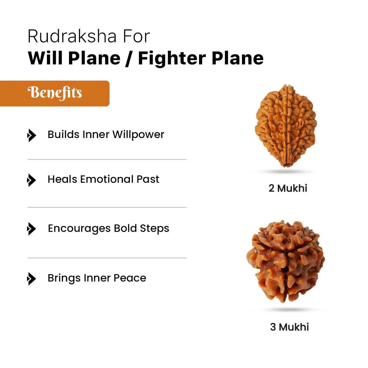 Rudraksha for Will Plane / Fighter Plane