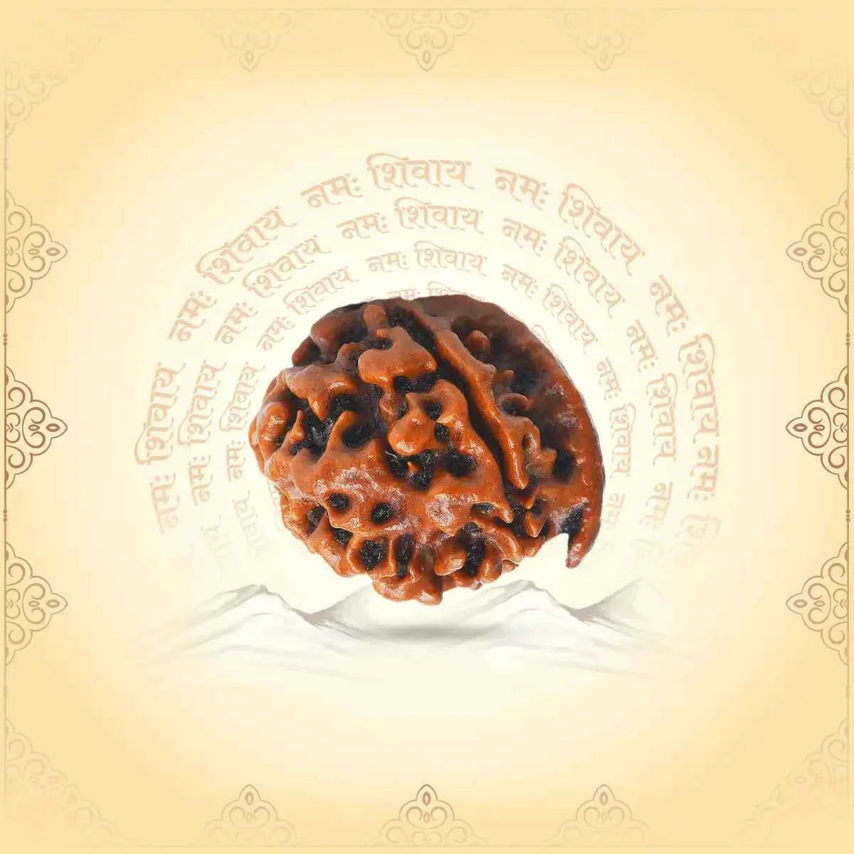 Ganesh Mukhi Rudraksha – Bead of New Beginnings & Wisdom