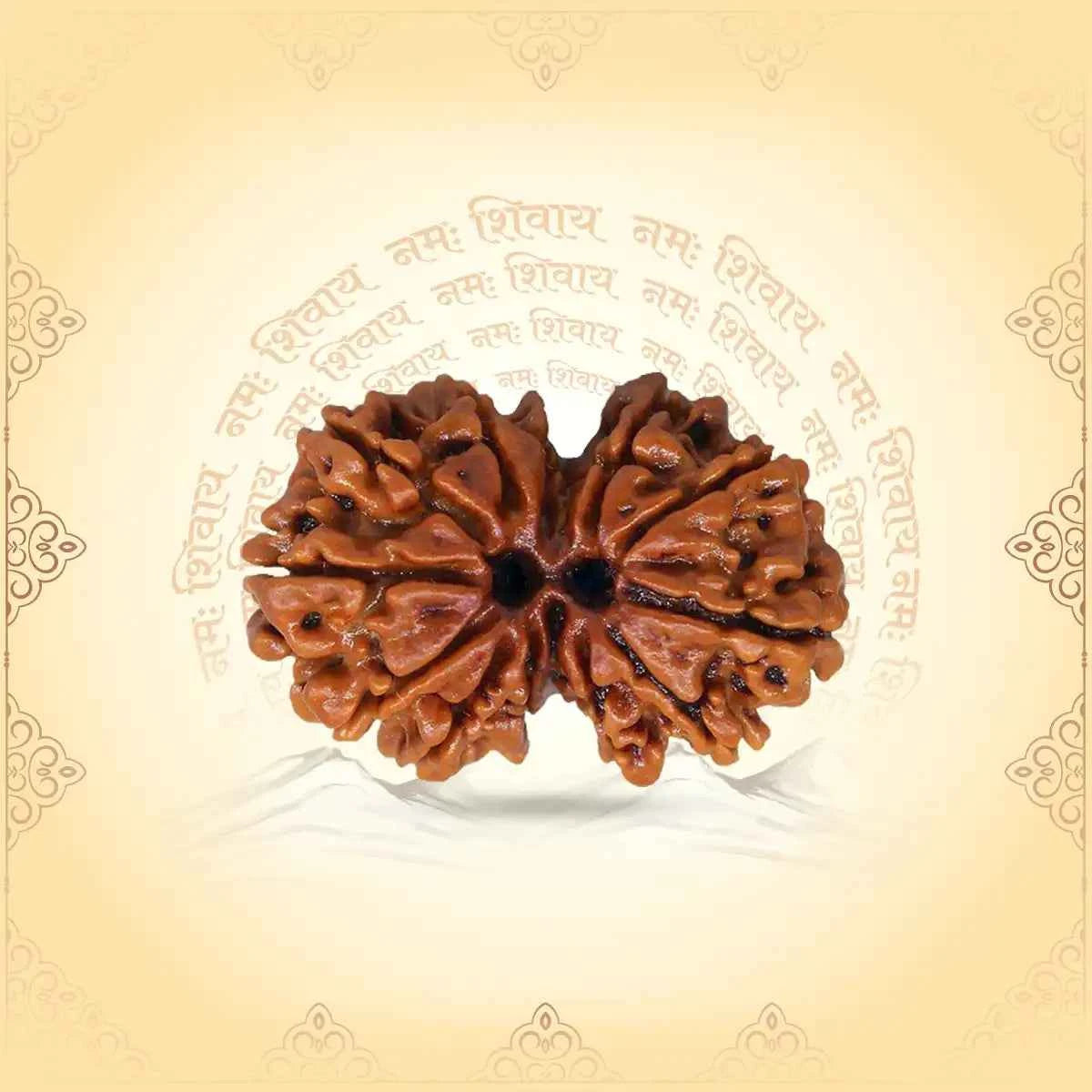 Gauri Shankar Rudraksha – Bead of Love, Unity & Divine Connection