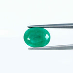 
                    
                      Emerald - 5.94 Carats
                    
                  