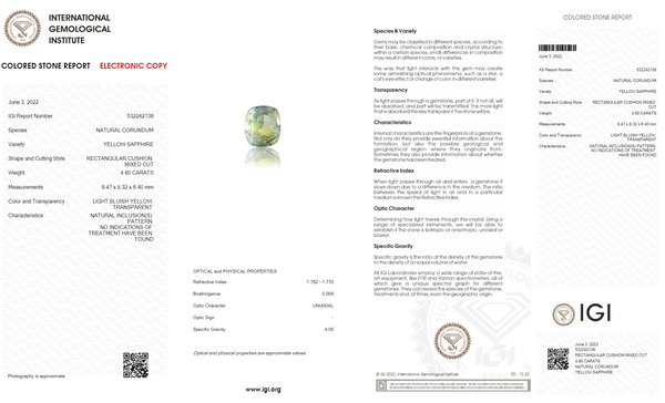 NATURAL PITAMBARI 4.60  CARATS - Media 6