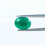
                    
                      Emerald - 5.94 Carats
                    
                  