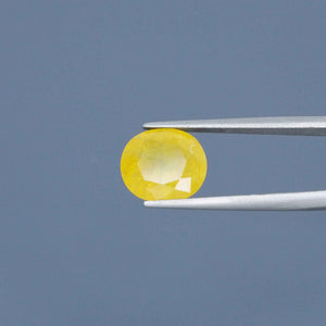 Yellow Sapphire - 7.83 Carats