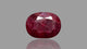 Natural Ruby (Manik) 8.08 Carats