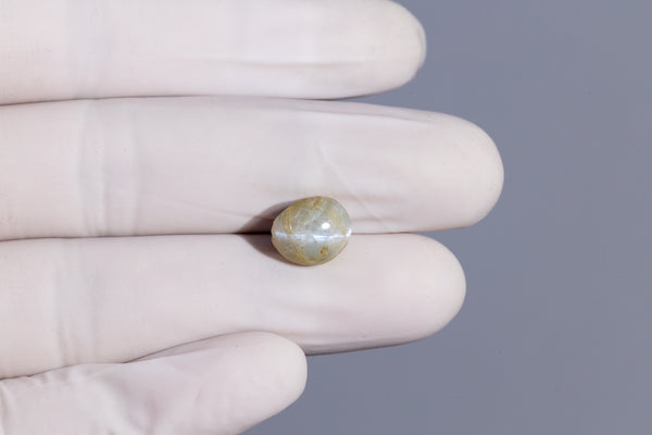 NATURAL CAT'S EYE (Lehsuniya) 7.67 Carats - Media 4