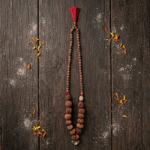 1-14 Mukhi Rudraksha Mala (Indian) – All Fourteen Mukhi Beads on Dhaga