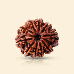 
                    
                      10 Mukhi Rudraksha for planetary protection by Acharya Lavbhushan

                    
                  