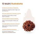 
                    
                      10 Mukhi Rudraksha for planetary protection by Acharya Lavbhushan

                    
                  