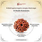 
                    
                      10 Mukhi Rudraksha for planetary protection by Acharya Lavbhushan

                    
                  