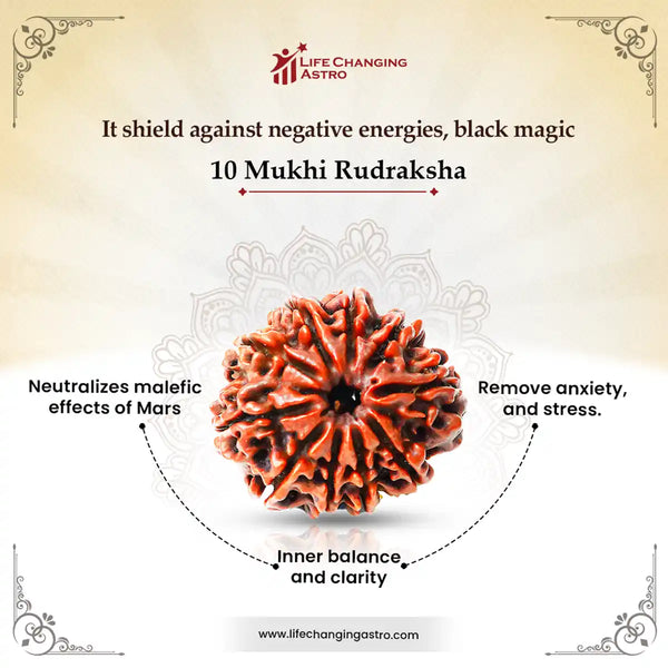 10 Mukhi Rudraksha-Benefits