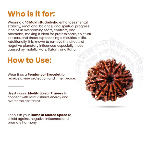 10 Mukhi Rudraksha-how to use