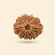 10 Mukhi Rudraksha (Nepali)
