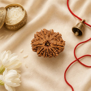 10 Mukhi Rudraksha (Nepali) – Natural Lord Vishnu Bead, Lab Certified Option