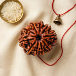 
                    
                      10 Mukhi Rudraksha for planetary protection by Acharya Lavbhushan

                    
                  