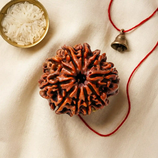 10 Mukhi Rudraksha for planetary protection by Acharya Lavbhushan
