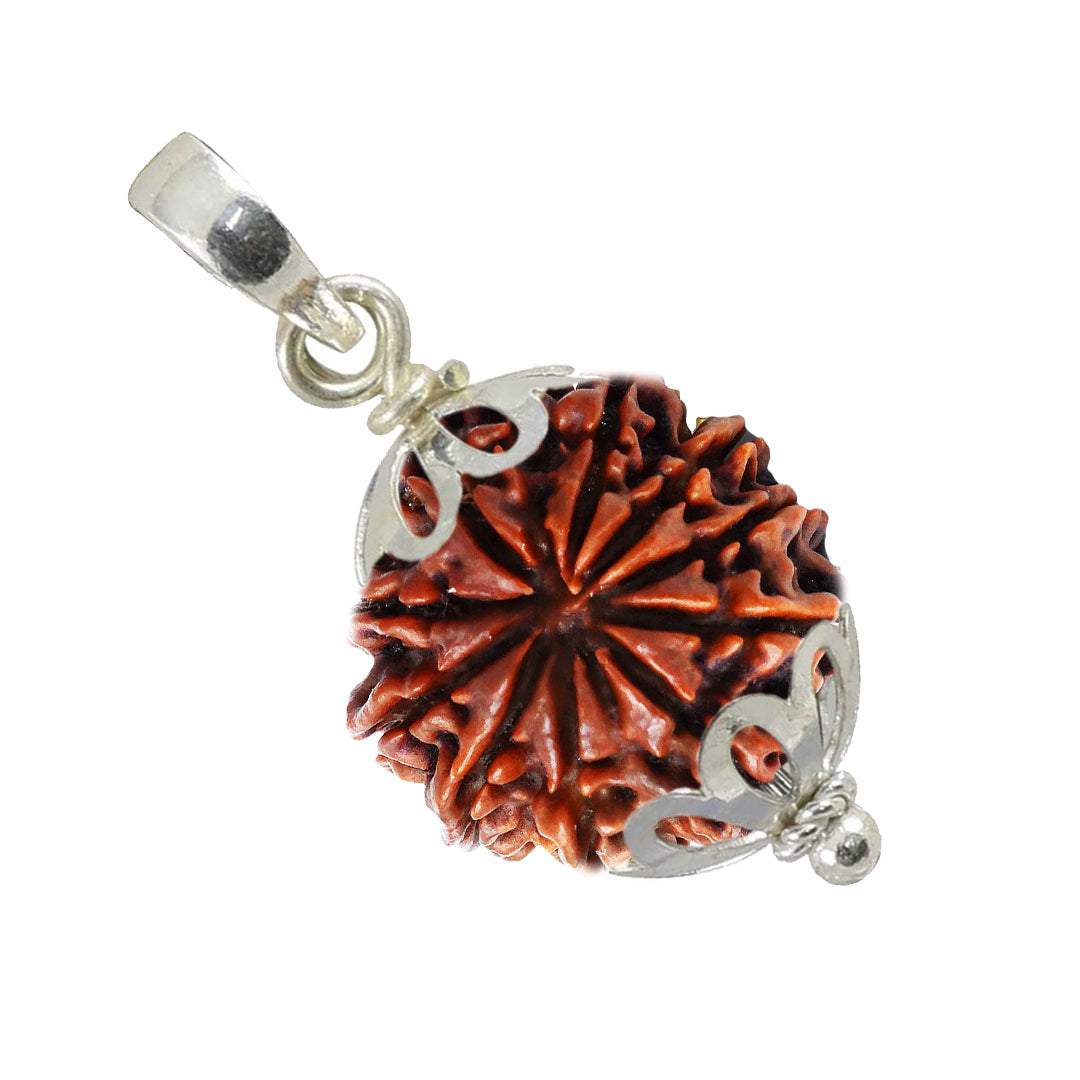 10 Mukhi Rudraksha with pendent