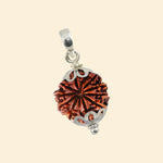 
                    
                      10 Mukhi Rudraksha with Pendant for planetary protection by Acharya Lavbhushan

                    
                  