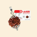 
                    
                      10 Mukhi Rudraksha with Pendant and Certificate for planetary protection by Acharya Lavbhushan

                    
                  