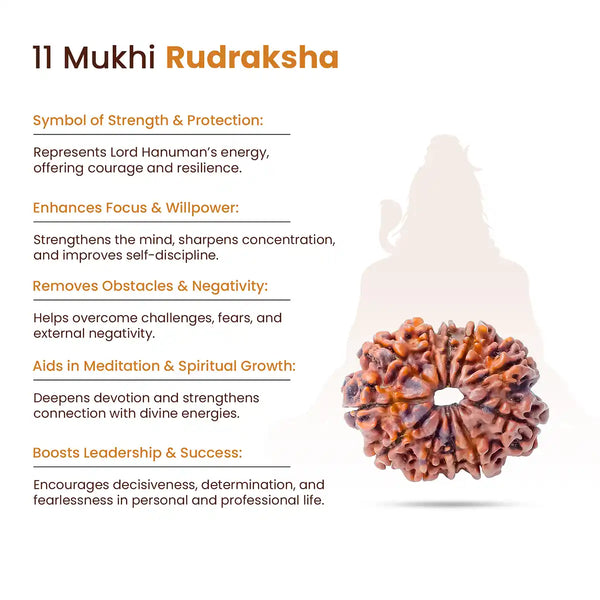 11 Mukhi Rudraksha-Benefits sign