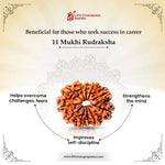 
                    
                      11 Mukhi Rudraksha (Hanuman Rudraksha) for courage and leadership by Acharya Lavbhushan

                    
                  