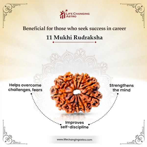 11 Mukhi Rudraksha-Benefits